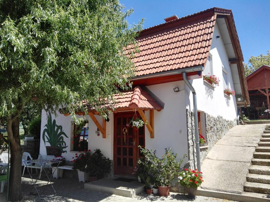 Agave Apartman Sarvar Bagian luar foto